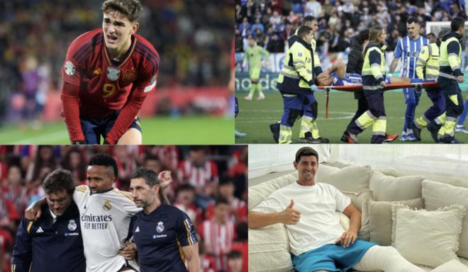 子布朗尼同 子布朗尼同